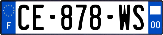 CE-878-WS