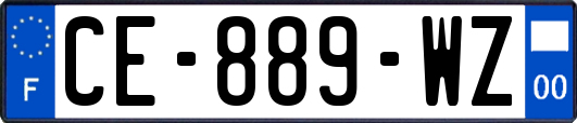 CE-889-WZ