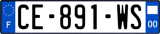 CE-891-WS