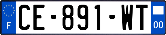 CE-891-WT