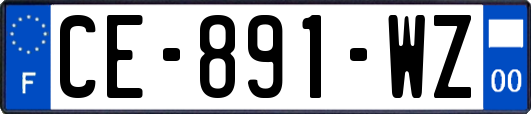 CE-891-WZ