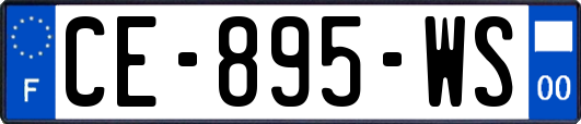 CE-895-WS