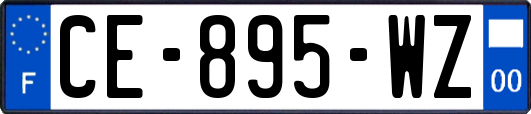 CE-895-WZ