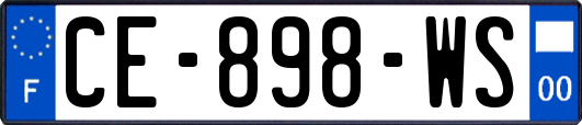 CE-898-WS