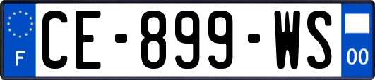 CE-899-WS