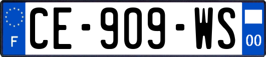 CE-909-WS