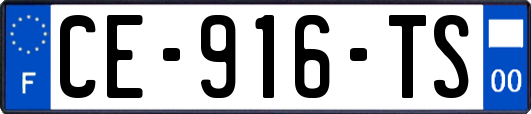 CE-916-TS