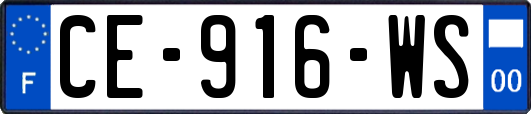 CE-916-WS