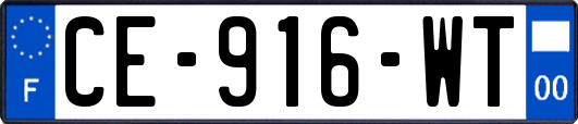 CE-916-WT