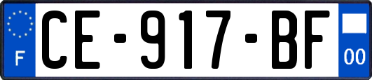 CE-917-BF