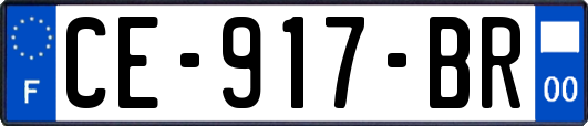 CE-917-BR