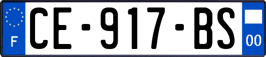 CE-917-BS