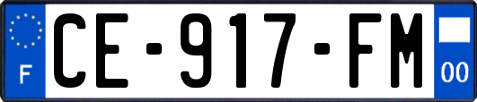 CE-917-FM