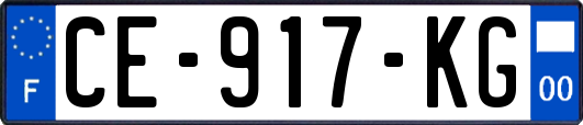 CE-917-KG