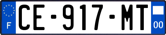 CE-917-MT