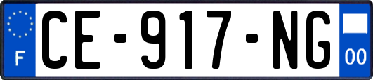 CE-917-NG