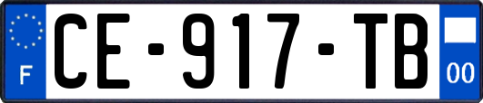 CE-917-TB