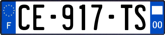 CE-917-TS