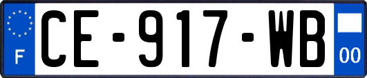 CE-917-WB