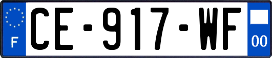 CE-917-WF