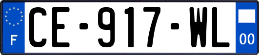 CE-917-WL