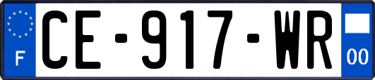 CE-917-WR