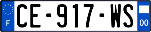 CE-917-WS