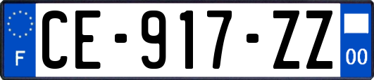 CE-917-ZZ