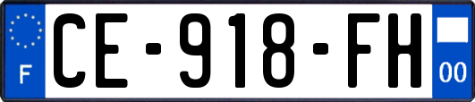 CE-918-FH