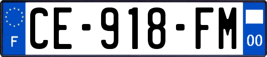 CE-918-FM
