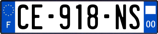 CE-918-NS