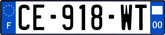 CE-918-WT