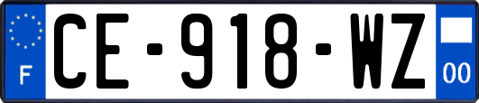 CE-918-WZ