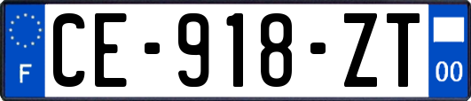 CE-918-ZT