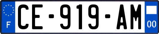 CE-919-AM