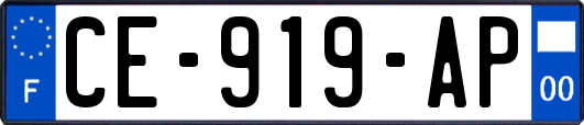 CE-919-AP