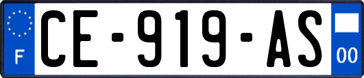 CE-919-AS