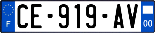 CE-919-AV