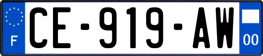 CE-919-AW