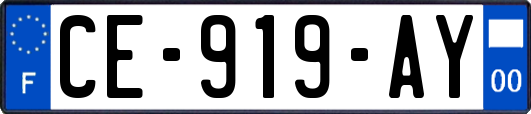 CE-919-AY