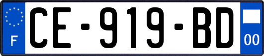 CE-919-BD