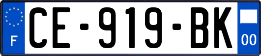 CE-919-BK
