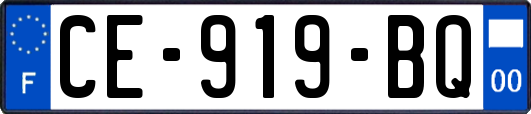 CE-919-BQ
