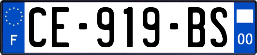 CE-919-BS