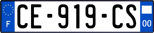 CE-919-CS