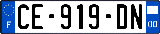 CE-919-DN