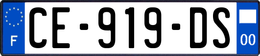 CE-919-DS