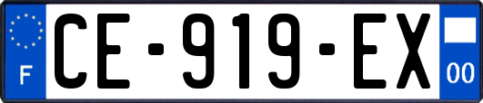 CE-919-EX