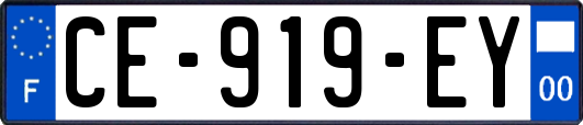 CE-919-EY