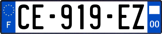 CE-919-EZ